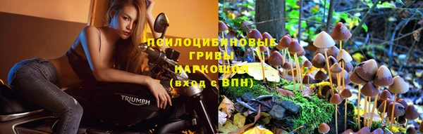 а пвп мука Магадан
